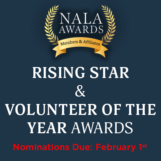 Rising Star & Volunteer of the Year Award Icon