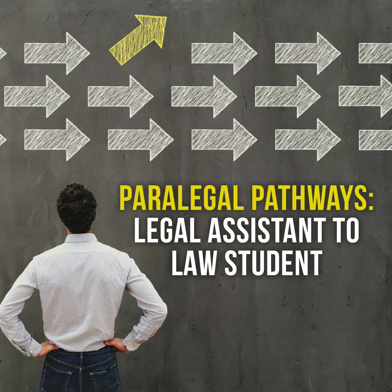 Paralegal Pathway Article